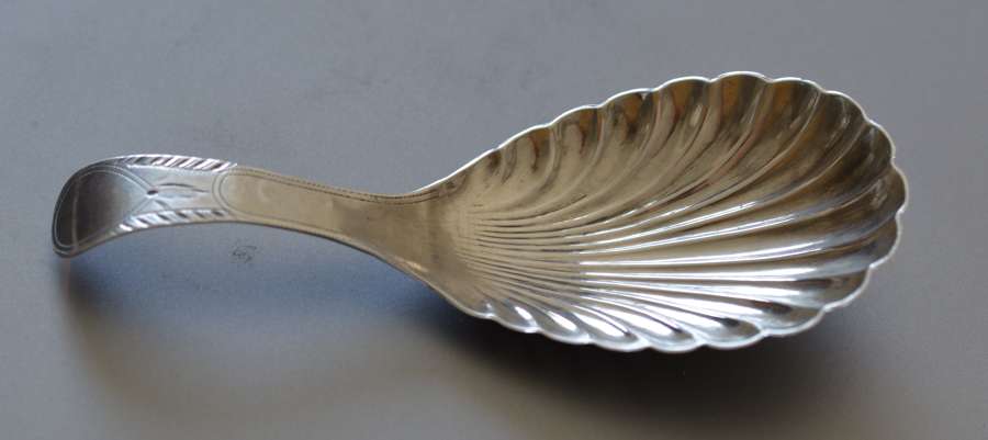 Attractive Silver Caddy Spoon by Thomas Willmore, Birmingham 1800