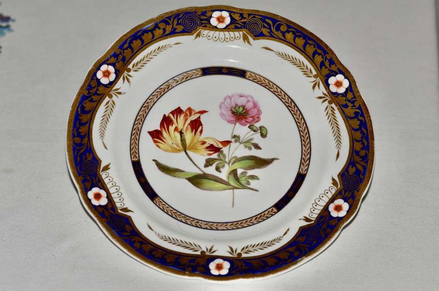 A Spode Botanical Cabinet Plate, Early 19th Century, Pattern no 2789